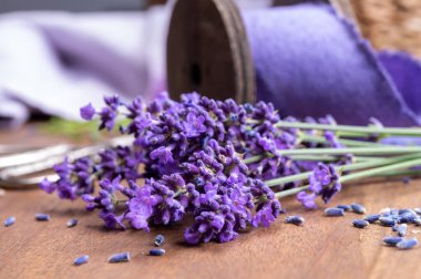 Fransa 'nın Provence kentindeki hediyelik eşya dükkanında bir demet taze, mor lavanta çiçeği.