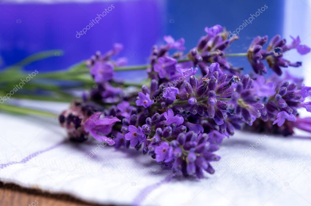 Bunch of fresh, purple aromatic lavender flowers in gift shop in Provence, France close up