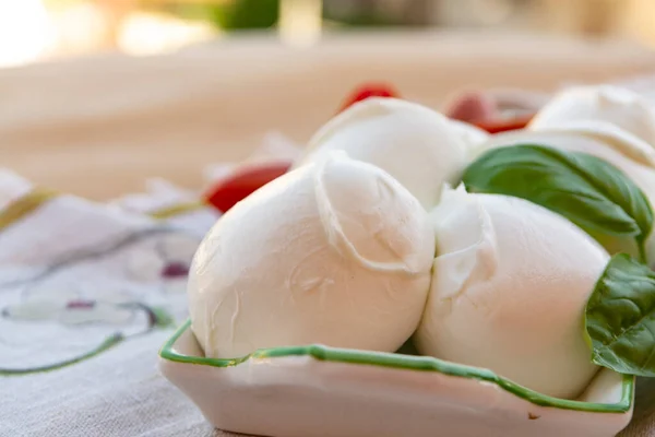 Búfalo Mussarela Queijo Branco Italiano Macio Fresco Originário Das Regiões — Fotografia de Stock