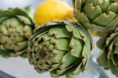 Enginar fidanlığından taze taze çiğ enginar çiçekleri, Yunanistan, Argolida 'da yeni hasat, taze limonla pişirmeye hazır.