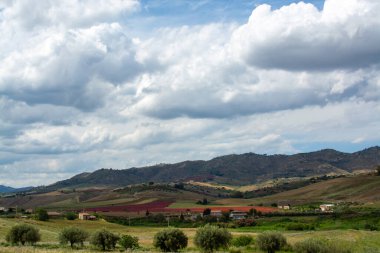 Çayırlarla, çayırlarla ve buğday tarlalarıyla manzara Sicilya, Güney İtalya 'da tarım