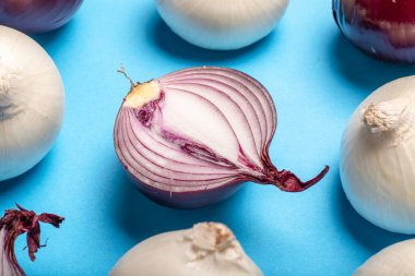 Moda düz gıda konsepti mavi arkaplanda, beyaz ve kırmızı soğan grubu fotokopi alanını kapatıyor