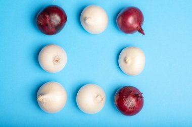 Moda düz gıda konsepti mavi arkaplanda, beyaz ve kırmızı soğan grubu fotokopi alanını kapatıyor