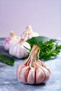 Tam pembe-mor sarımsak soğanları ve taze mutfak otları gri mermer kalasa kapanıyor.