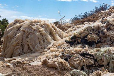 Ekoloji felaketi ve doğanın kirliliği, plastik çöpler kızgın güneşin altında çürüyor, İsrail