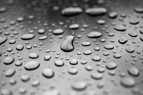 Abstract Black White Water Rain Drops Transparent Background Wallpaper Close — Stock Photo, Image