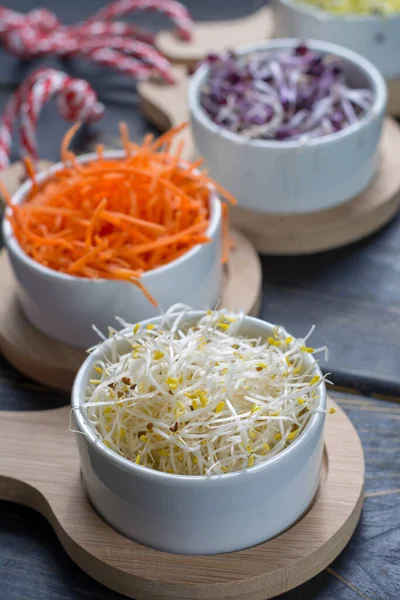 Rauwe Jonge Biologische Kiemgroenten Van Prei Alfalfa Rood Wortel Kommen — Stockfoto