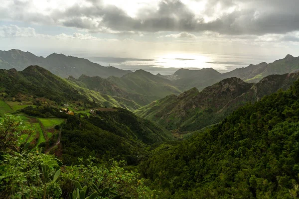 Anaga Ulusal Parkı Nın Yeşil Yamaçları Tenerife Kanarya Adaları Spanya — Stok fotoğraf