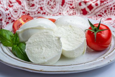 İtalyan yumuşak peyniri mozzarella, inek veya bufalo sütünden yapılmış beyaz peynir taze yeşil fesleğen otu ve kırmızı domates.