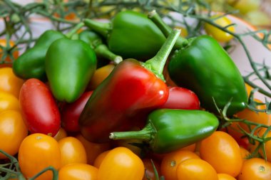 Bir sürü küçük, olgun taze domates.