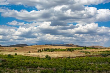 Çayırlarla, çayırlarla ve buğday tarlalarıyla manzara Sicilya, Güney İtalya 'da tarım