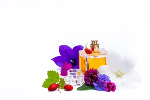 Criação Essência Perfume Flores Verão Fragrância Luz Doce Garrafa Perfume — Fotografia de Stock