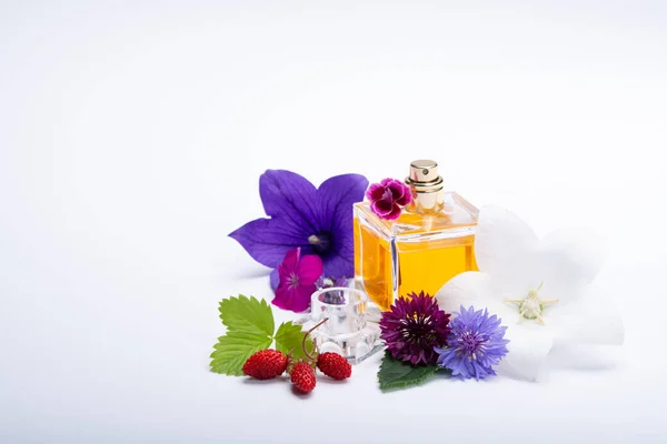 Creation of perfume essence, summer flowers sweet light fragrance, perfume bottle and colorful aromatic flowers isolated close up copy space