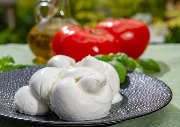 Torcido Para Formar Uma Trava Mozzarella Mozzarella Italiano Queijo Macio — Fotografia de Stock