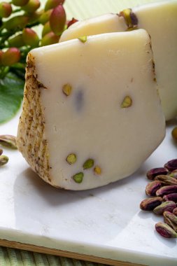 Peynir koleksiyonu, İtalyan provolonu veya Sicilya 'da yapılan leziz yeşil Bronte fıstıklı provolone peyniri beyaz mermer tabakta servis ediliyor.