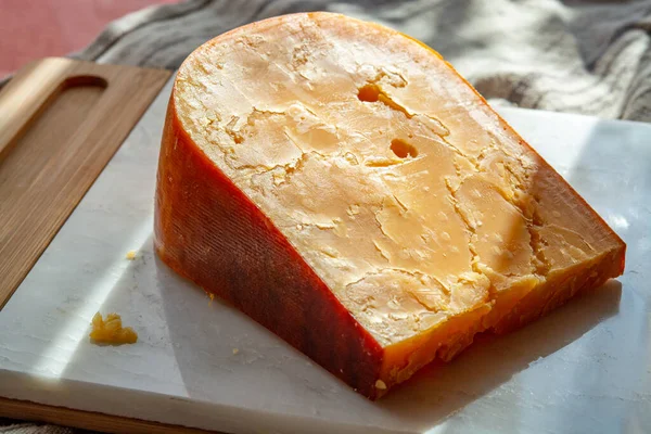 奶酪系列 一块有3年历史的深色黄色硬荷兰奶酪在阳光下 — 图库照片