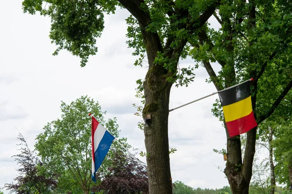 Borders inside European Union between Netherlands and Belgium, only two flags on tree