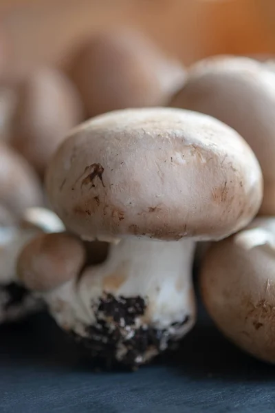 Funghi Marroni Marroni Freschi Biologici Champignons Con Piede Grotte Sotterranee — Foto Stock