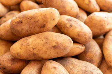 Markette patatesler, yeni patates hasadı yakın mesafede sebzeler, yiyecek arka planı.