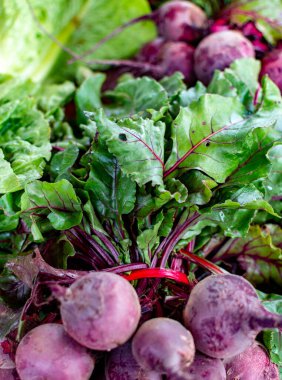 Yunanistan 'ın Nafplio kentindeki tarım pazarı, yeni kırmızı pancar kökü sebzesi hasadı, taze ve sağlıklı organik gıda yakında.