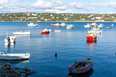 Açık mavi suları ve güneşli bir günde geleneksel renkli Yunan balıkçı tekneleriyle deniz kenarı.