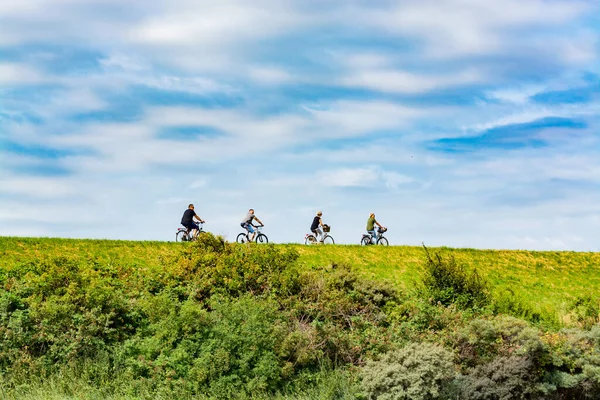 Cuatro Personas Montando Bicicletas Día Soleado Holanda Concepto Deportivo — Foto de Stock