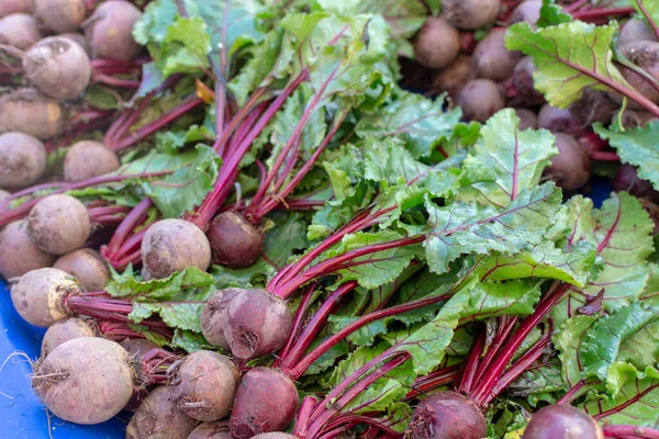 Farmer market in Nafplio, Greece, new harvest of red beetroot vegetable, fresh and healthy organic food close up
