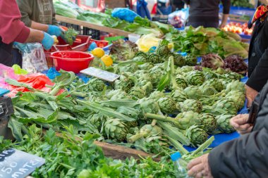 Enginar çiftliğinden taze çiğ enginar başları, Yunanistan 'ın Argolida kentindeki tarım pazarında yeni hasat.