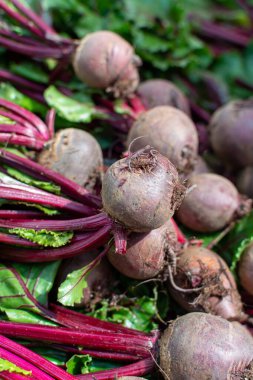 Yunanistan 'ın Nafplio kentindeki tarım pazarı, yeni kırmızı pancar kökü sebzesi hasadı, taze ve sağlıklı organik gıda yakında.