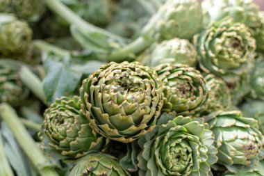 Enginar çiftliğinden taze çiğ enginar başları, Yunanistan 'ın Argolida kentindeki tarım pazarında yeni hasat.