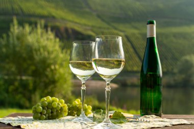Almanya 'nın Mosel nehri vadisinde tepelerde büyüyen beyaz üzümlerden üretilen ünlü Alman kaliteli beyaz şarap şişesi Mosel Vadisi' nin dışında servis ediliyor.