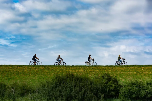 在荷兰 有四个人在阳光灿烂的日子骑自行车 这就是体育概念 — 图库照片