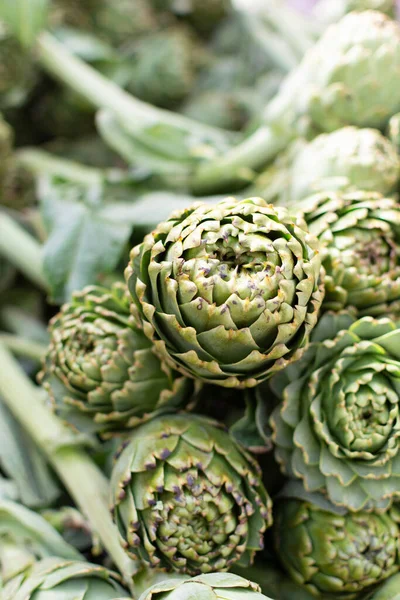 Stelletje Verse Rauwe Artisjokken Afkomstig Van Artisjokplantages Nieuwe Oogst Argolida — Stockfoto