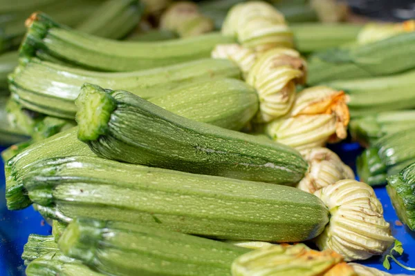 Unga Zicchini Grönsaker Med Gula Blommor Bondens Marknad Närbild — Stockfoto