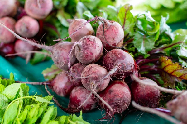 Farmer market in Nafplio, Greece, new harvest of red beetroot vegetable, fresh and healthy organic food close up