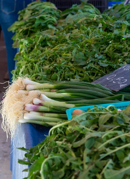 Farmer market in Nafplio, Greece, new harvest of green onion and lettuce vegetable, fresh and healthy organic food close up