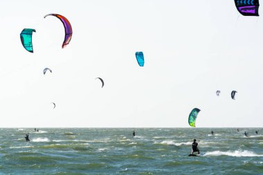 Su sporları etkinliği, renkli uçurtma sörfçüleri Kuzey Denizi 'nde Renesse, Zeeland, Hollanda yakınlarında yarışıyor.