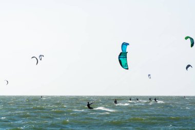 Su sporları etkinliği, renkli uçurtma sörfçüleri Kuzey Denizi 'nde Renesse, Zeeland, Hollanda yakınlarında yarışıyor.