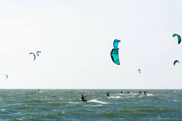 多彩的风筝冲浪者在荷兰泽兰Renesse附近的北海参加水上运动比赛 — 图库照片