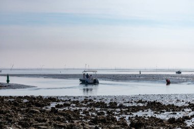 Zeeuwse köyü Yerseke 'de alçak sular sırasında ünlü istiridye ve midye kuyularıyla kıyı şeridi, Zeeland, Hollanda