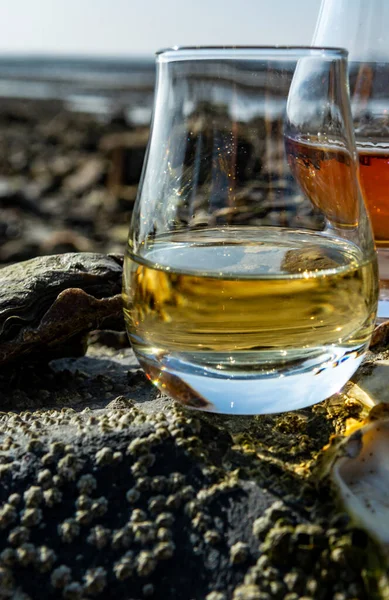 Szkło Degustacyjne Szkockiej Whisky Tło Brzegów Morza Podczas Odpływu Smoky — Zdjęcie stockowe