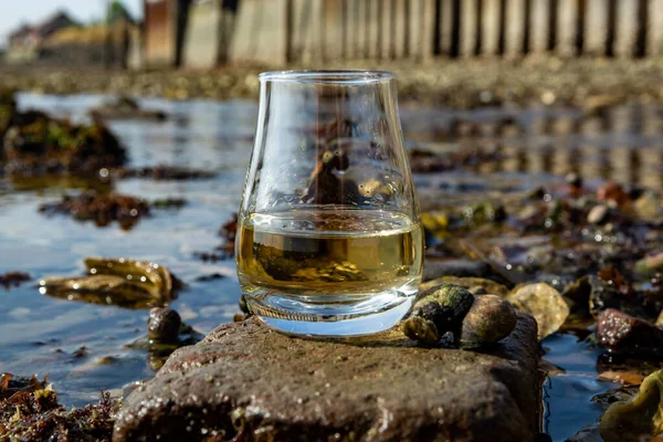 Tasting glass of Scotch whisky and sea shore background during low tide, smoky whisky pairing with oysters