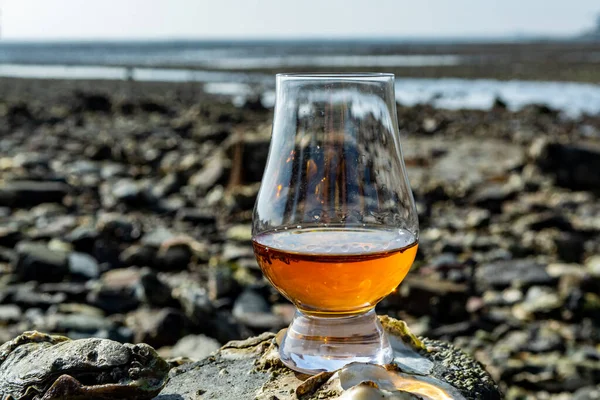 Tasting glass of Scotch whisky and sea shore background during low tide, smoky whisky pairing with oysters