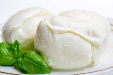 İtalyan yumuşak peyniri mozzarella, inek ya da bufalo sütünden yapılmış beyaz peynir taze yeşil fesleğenle kaplayın.