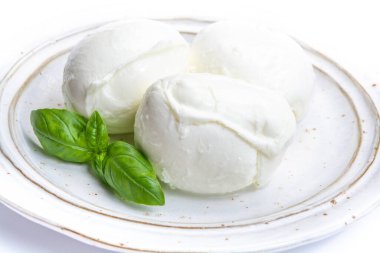İtalyan yumuşak peyniri mozzarella, inek ya da bufalo sütünden yapılmış beyaz peynir taze yeşil fesleğenle kaplayın.