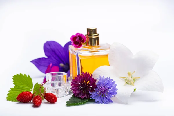 Creation of perfume essence, summer flowers sweet light fragrance, perfume bottle and colorful aromatic flowers isolated close up copy space