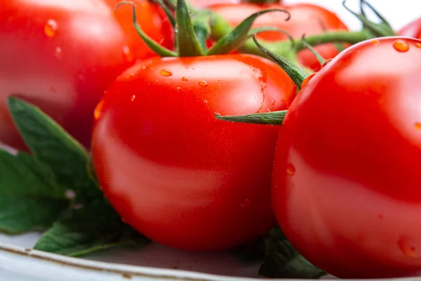 Bunch Fresh Ripe Red Tomatoes Leaves Plate White Background Close — Stock Photo, Image