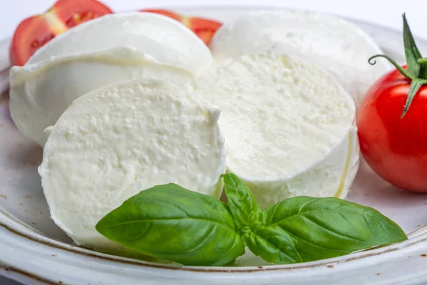 Italiensk Mjuk Ost Mozzarella Vit Ost Gjord Eller Buffel Mjölk — Stockfoto