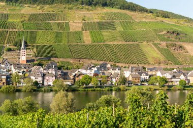 Mosel Nehri Vadisi 'ndeki küçük Alman kasabasının manzarası, Almanya' da şarap bölgesinde turistlerin gideceği yer.