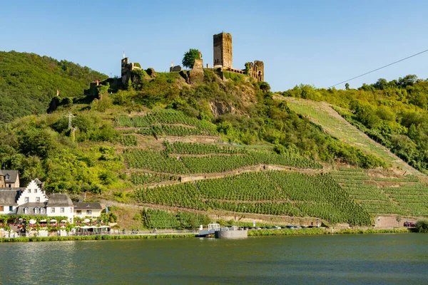 Landscape Famous Green Terraced Vineyards Mosel River Valley Germany Production — Stock Photo, Image